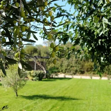 Les Hotes De La Combe Mouis Ferienhaus Creissan